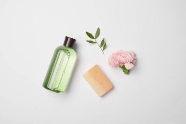 Top view of different cosmetic bottles, soap, tea plant branch and carnation flower on white background