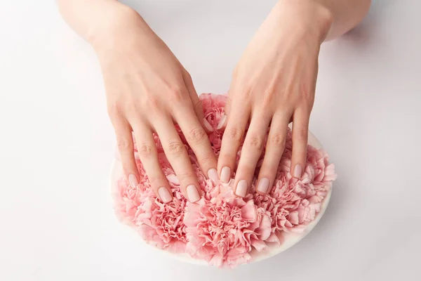 Partial View Woman Touching Carnations Petals Plate White Background — Stock Photo, Image