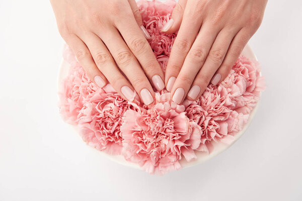 Partial view of woman touching carnations petals in round plate on white background 