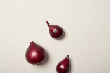 Top view of three red onions on grey background clipart