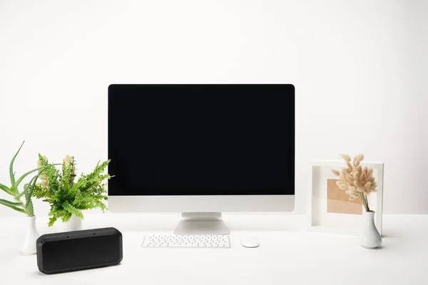 ワイヤレス スピーカー 植物白で隔離コピー スペースを持つデスクトップ コンピューターと職場 — ストック写真