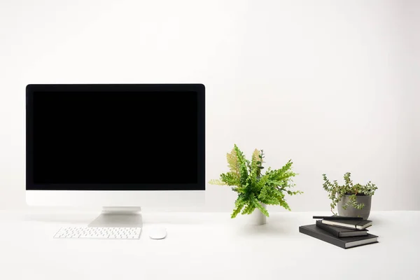 Lugar Trabajo Con Plantas Verdes Cuadernos Computadora Escritorio Con Espacio — Foto de Stock