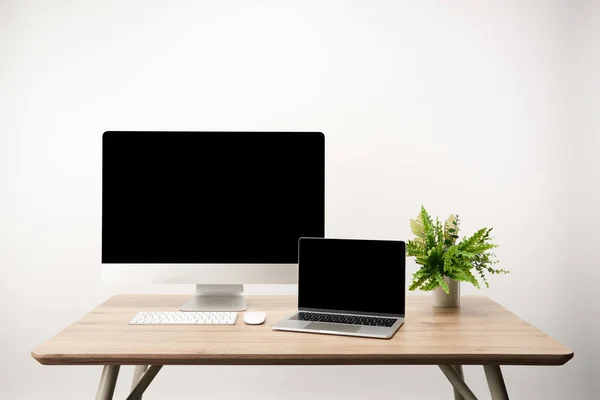 Werkplek Met Plant Laptop Met Kopie Ruimte Geïsoleerd Wit — Stockfoto
