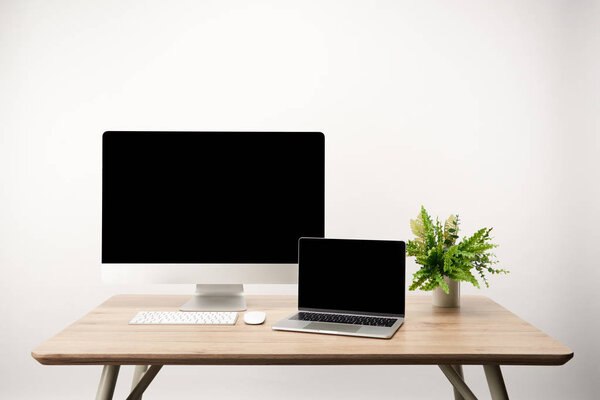 workplace with plant, desktop computer and laptop with copy space isolated on white