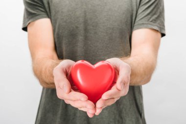 Cropped view of man in grey t-shirt holding toy heart clipart