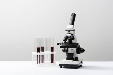 microscope and test tubes with blood on grey background  clipart