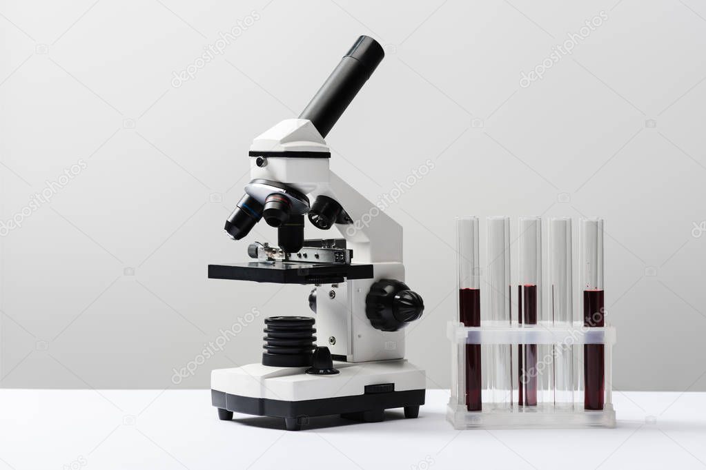 microscope and test tubes with blood on grey background 