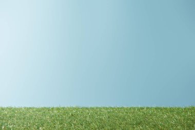 fresh bright green grass on blue background with copy space clipart