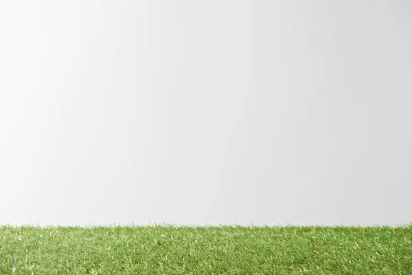 Fresh Bright Green Grass White Background Copy Space — Stock Photo, Image