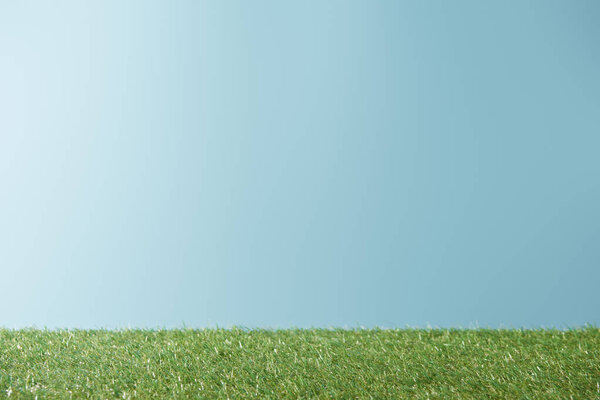fresh bright green grass on blue background with copy space
