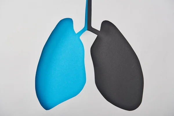 Vista Superior Del Modelo Pulmones Vacíos Azules Negros Aislados Blanco — Foto de Stock