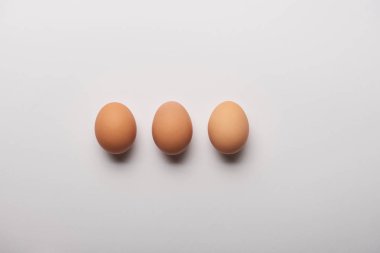 düz lay ile gri arka plan üzerinde üç organik yumurta 