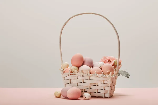 Eater Chicken Quail Eggs Straw Basket Flower Grey Background — Stock Photo, Image