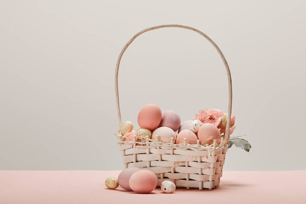 eater chicken and quail eggs in straw basket with flower on grey background 