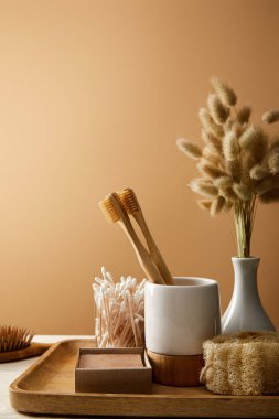 vazo spikelets ve farklı hijyen ve bakım ürünleri izole kahverengi, sıfır atık kavramı ile ahşap tepsi