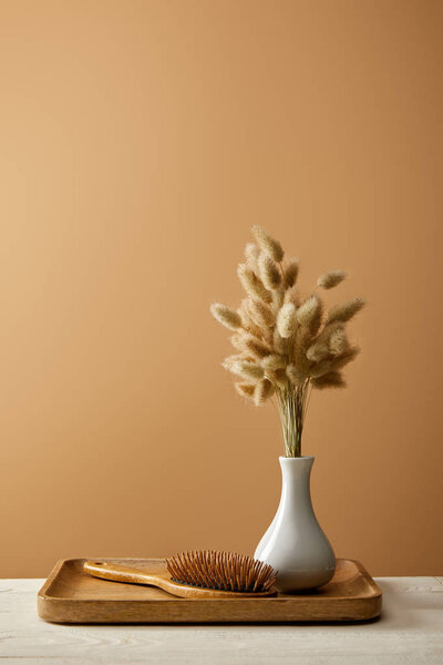 wooden tray with vase of spikelets and hair brush isolated on brown, zero waste concept