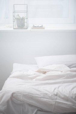 rahat yatak, bitki ve gözlük yastık ve beyaz battaniye ile yatak odası 