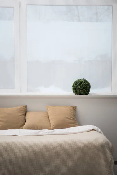 Quarto Com Travesseiros Castanhos Cobertor Branco Cama Acolhedora Planta — Fotografia de Stock