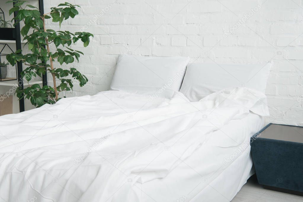 bed with white blanket and pillows, plant and black nightstand