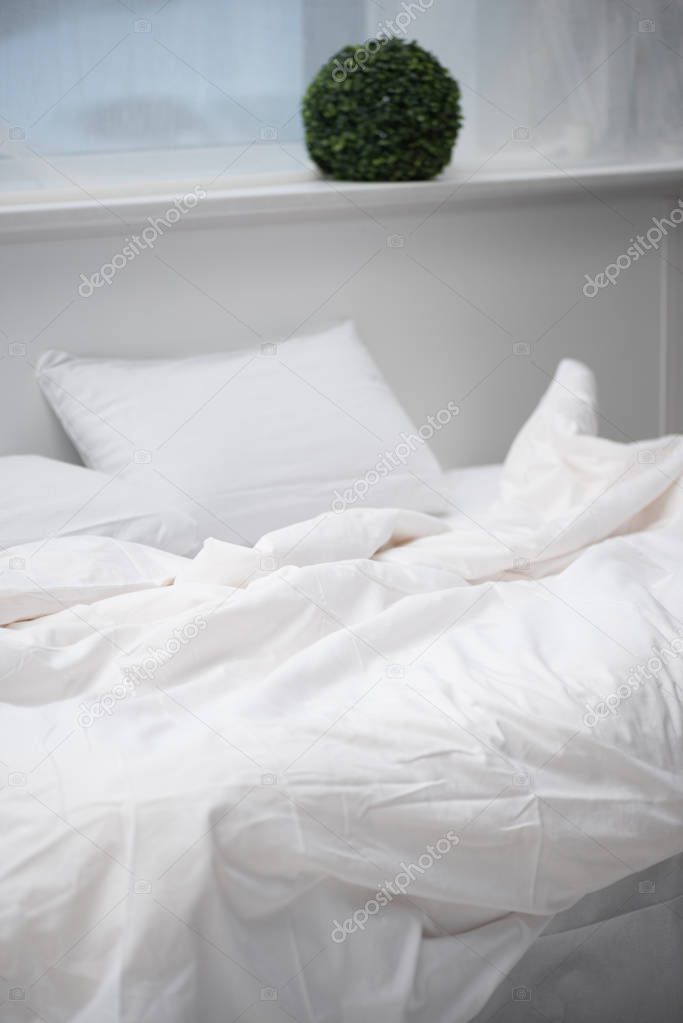 bedroom with plant, pillow and white blanket on empty bed
