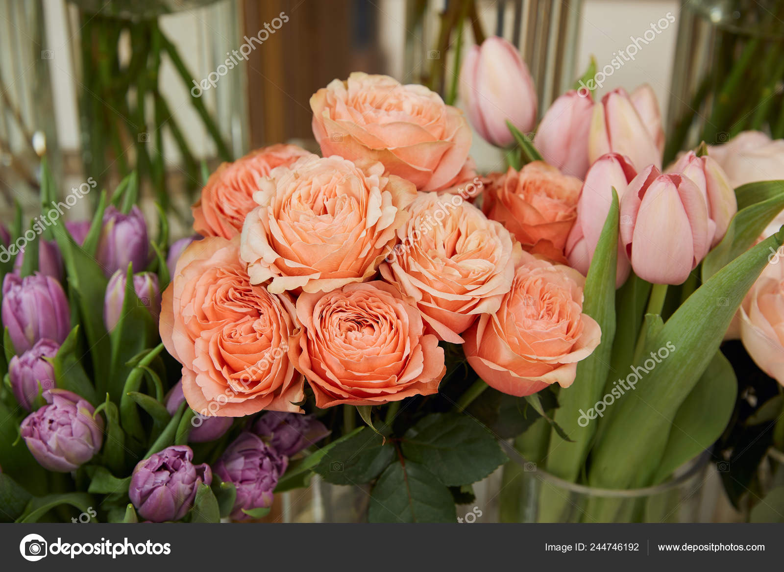 Close Roses Tulips Vases Stock Photo C Antonmatyukha 244746192