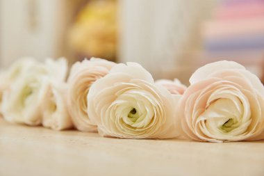 Tablo yüzeyinde Beyaz peonies, yakın çekim