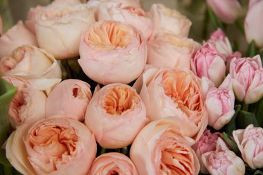 bej peonies ve Pembe lale kapat