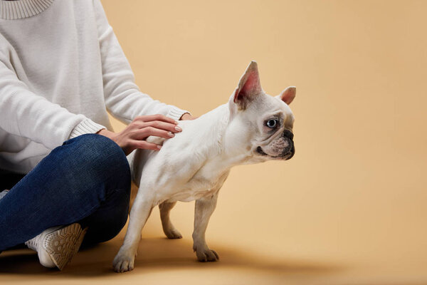 cropped view of woman sitting near french bulldog on beige background