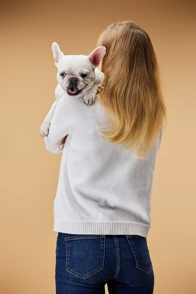 Mulher Camisola Branca Jeans Azul Segurando Ombro Bulldog Francês Fundo — Fotografia de Stock