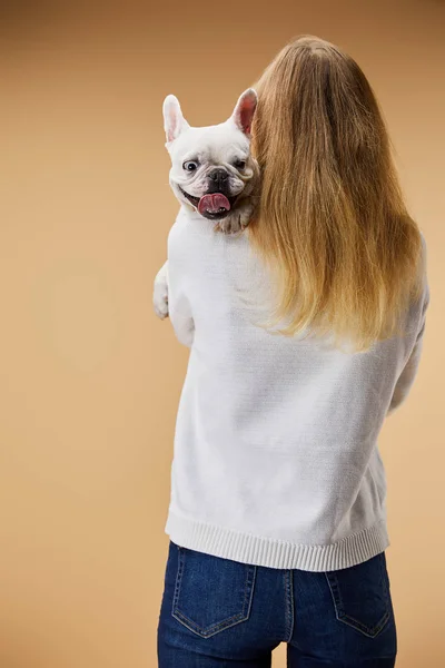 Frau Hält Auf Schulter Französische Bulldogge Auf Beigem Hintergrund — Stockfoto