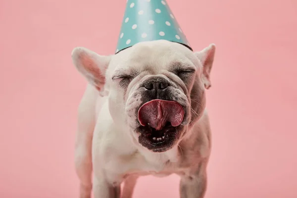 Photos De Bulldog Anniversaire Images De Bulldog Anniversaire Depositphotos