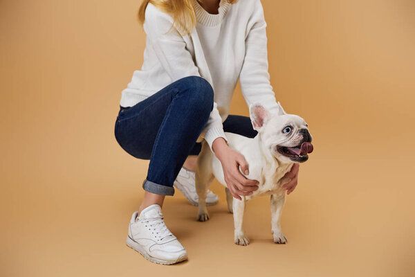 cropped view of woman in white sweater with french bulldog on beige background