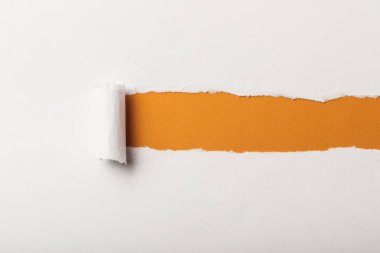 torn paper with rolled edge and copy space on orange background clipart