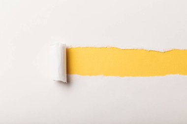 sarı arka plan üzerinde rulo kenar ve kopya alanı ile yırtık kağıt