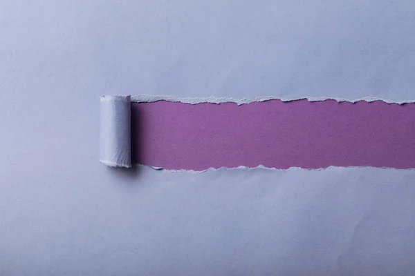 Papel Azul Rasgado Com Borda Rolada Sobre Fundo Violeta — Fotografia de Stock