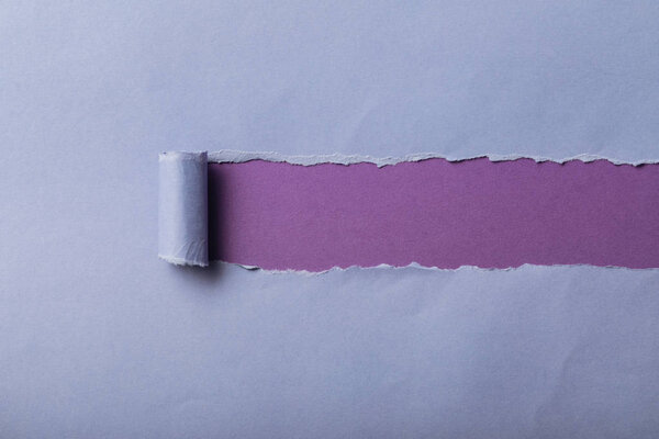 torn blue paper with rolled edge on violet background