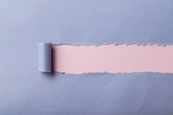 Ripped Blue Paper Rolled Edge Pink Background — Stock Photo, Image