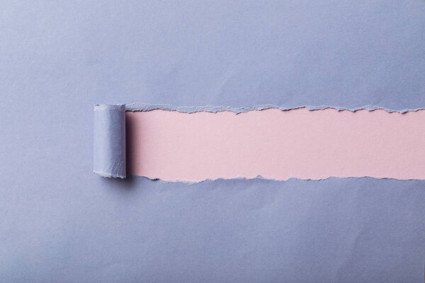 ripped blue paper with rolled edge on pink background