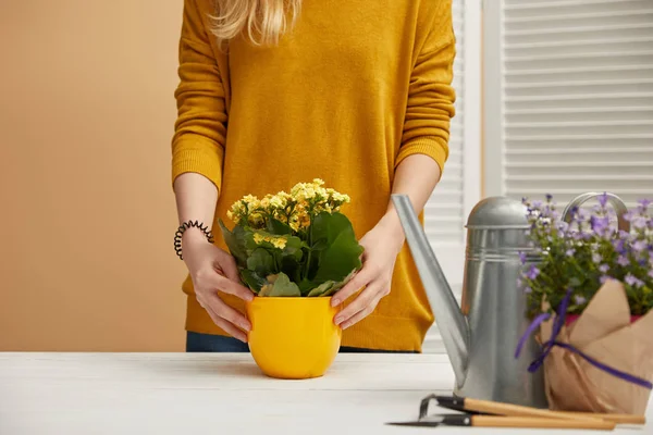 Vista Cortada Jardineiro Segurando Vaso Amarelo Com Flores — Fotografia de Stock