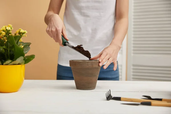 Cropped View Gardener Filling Clay Flowerpot Dirt — Stock Photo, Image