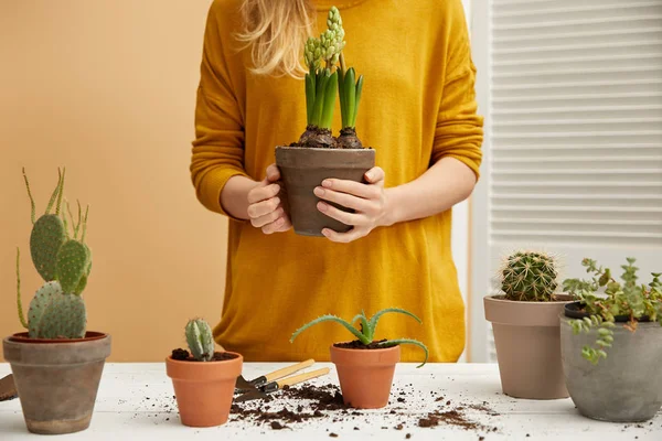 Partial View Woman Yellow Sweater Holding Hyacinth — Stock Photo, Image