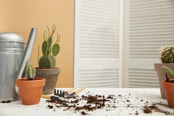 Cacti Metal Watering Can White Surface Dirt — Stock Photo, Image