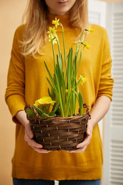 Cropped View Woman Sweater Holding Daffodils — Stock Photo, Image