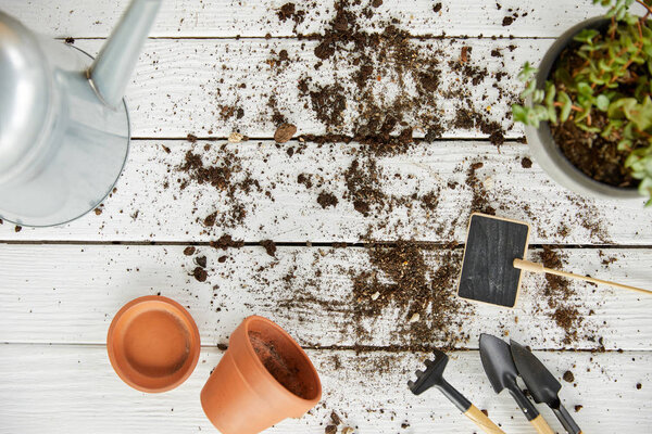 top view of plant, watering can, tools and flowerpots on white wooden table 