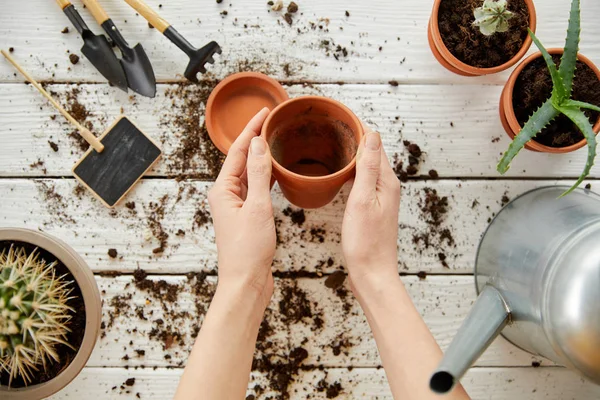 도구와 화분을 정원사의 — 스톡 사진