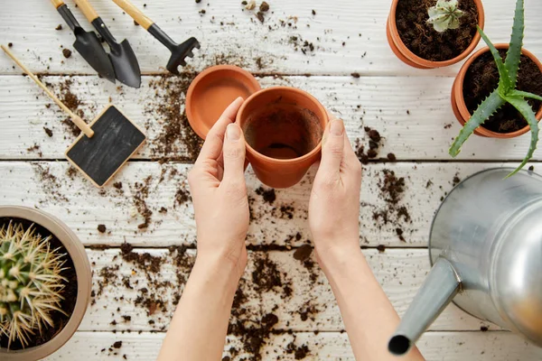 Beskuren Bild Trädgårdsmästare Holding Lera Blomkruka Bland Växter Verktyg Och — Stockfoto