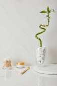 Vatová tyčinka v sklo, kosmetický krém a kartáček poblíž stonku bambusové vázy na bílém mramorovém pozadí