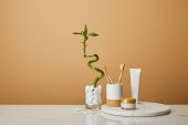 kulaté desky s kartáčky v držáku, kosmetický krém a zubní pastu v tubě poblíž stonku zelené bambusové vázy na béžové pozadí