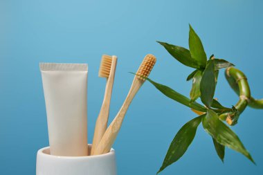 sahibi ile bambu diş fırçası, diş macunu tüpü ve bambu kök üzerinde mavi arka plan