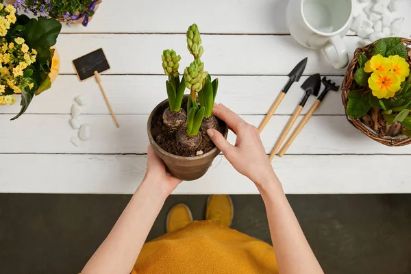 Beskuren Bild Kvinna Gul Tröja Holding Hyacint — Stockfoto